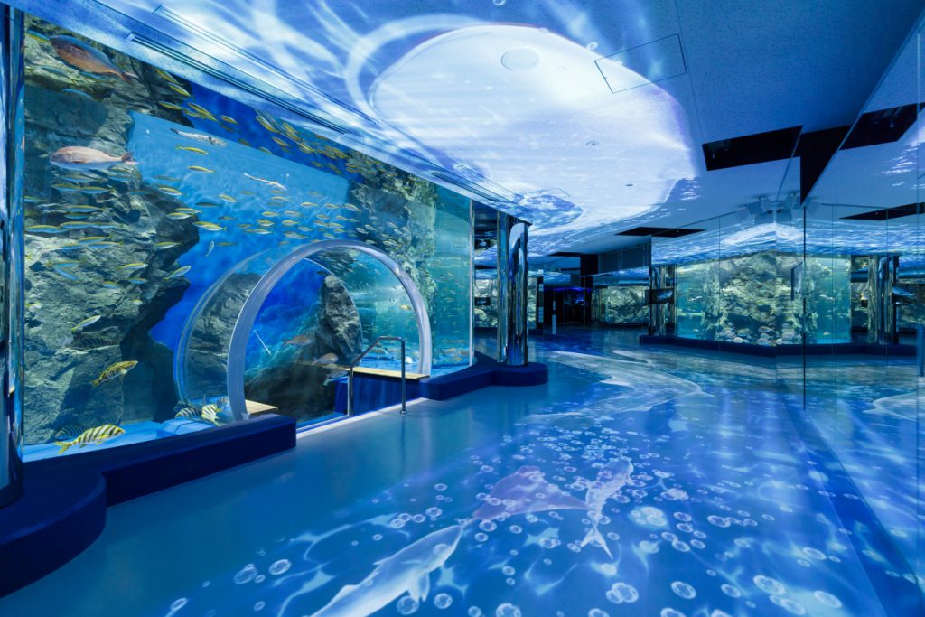 七尾市】来て！見て！触れる！ 「のとじま水族館」 u2013 Discover Noto