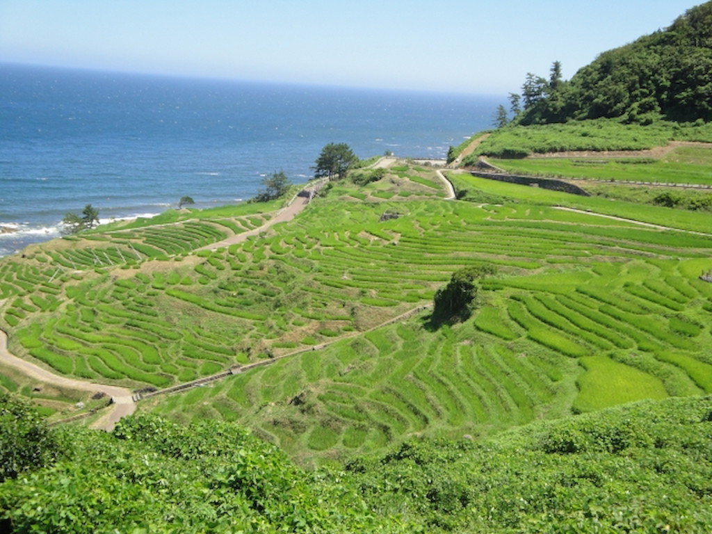 輪島市 日本の棚田百選 国指定文化財名勝に指定された 白米千枚田 Discover Noto